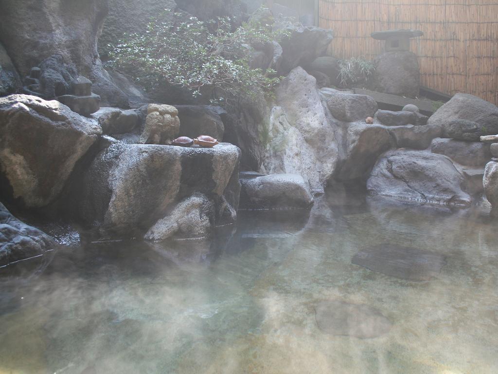 Sumiyosiya Ryokan Nozawaonsen Ngoại thất bức ảnh
